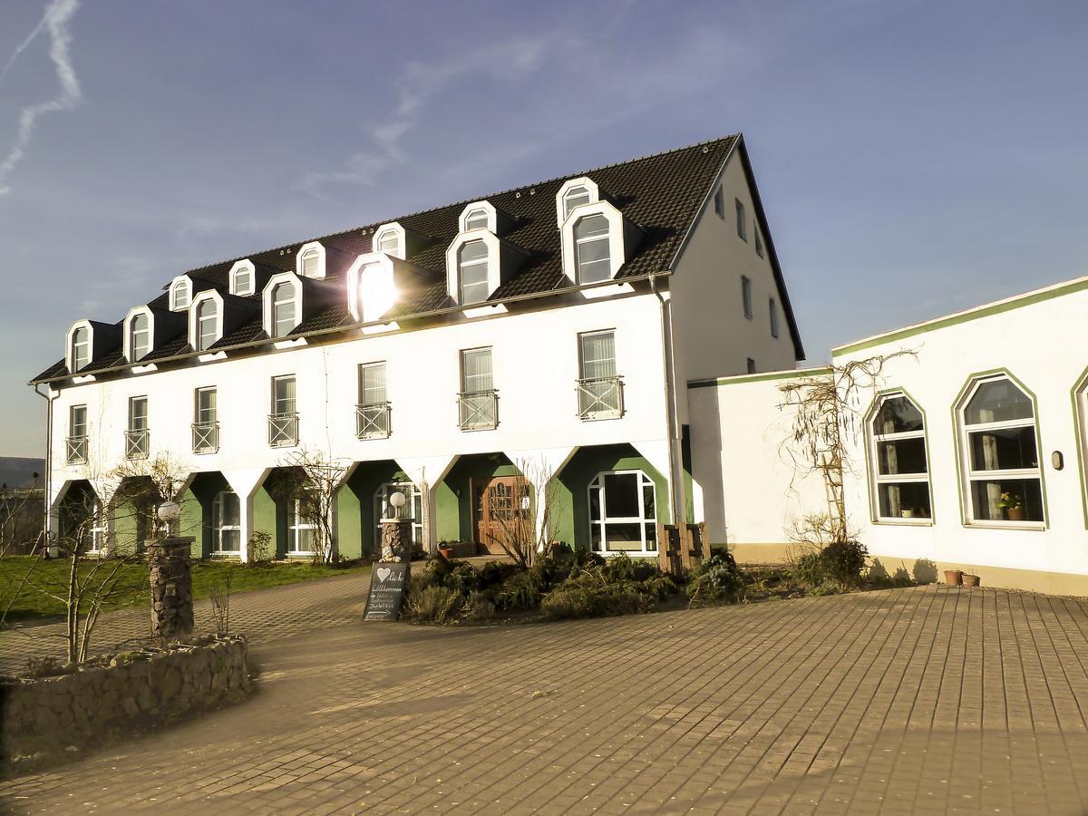 Hotel Zur Werra Schmalkalden Exterior photo